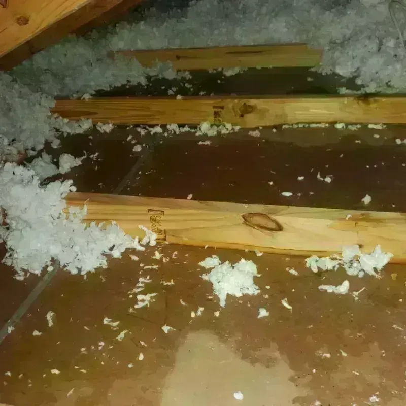 Attic Water Damage in Freedom, CA