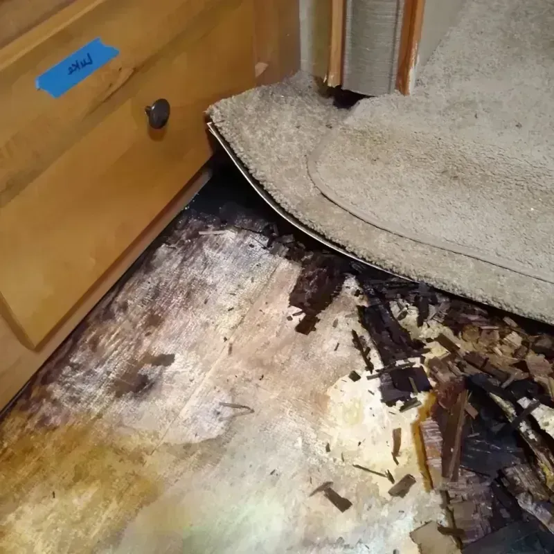 Wood Floor Water Damage in Freedom, CA